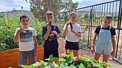 Eigene Gurkenernte aus dem Gemüsegarten der Agrokipia-Grundschule in Zypern