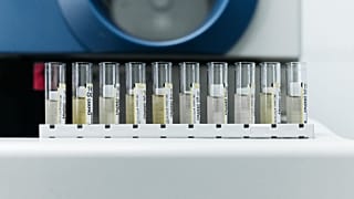 Samples are shown in test tubes in a lab.