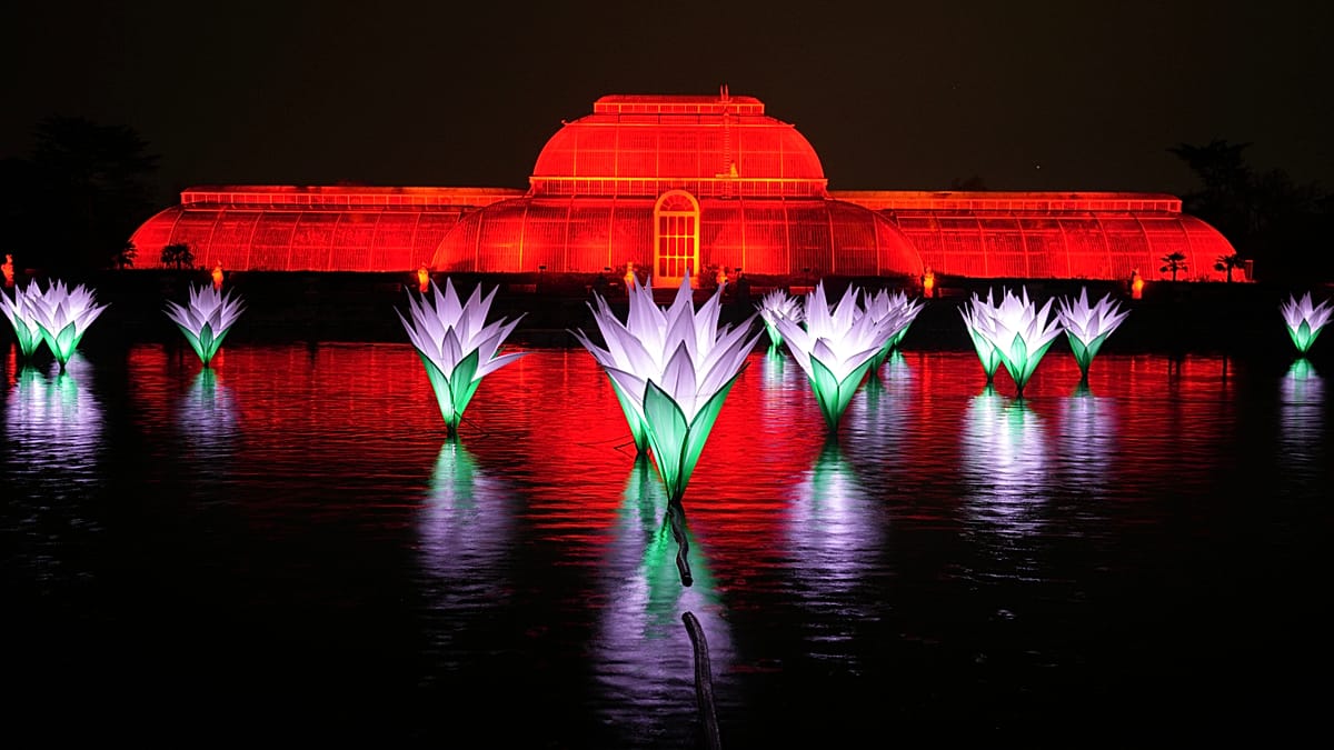 One million LEDs: Kew Gardens unveils new Christmas light trail