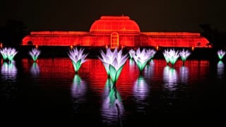 Las instalaciones luminosas se exhiben en el recorrido de luces navideñas de los Jardines de Kew, en Londres, el 13 de noviembre de 2025.