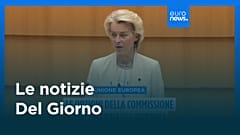 Le notizie del giorno | 14 novembre 2025 - Serale