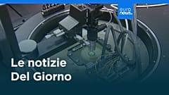 Le notizie del giorno | 15 novembre 2025 - Serale