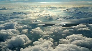 عکس تزئینی است