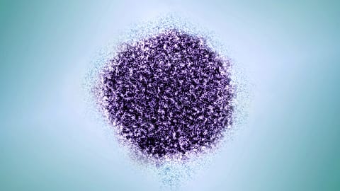 Dieses kolorierte Elektronenmikroskopbild, bereitgestellt von der Rockefeller University und dem NIAID, zeigt ein Hepatitis-C-Virion. 