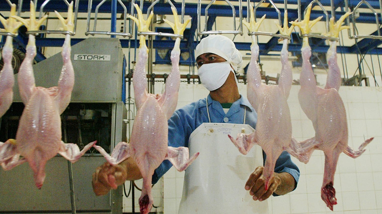 يستعدّ العاملون في مصنع معالجة الدجاج التابع لشركة "سييراد" لتعبئة الدجاج