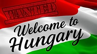 Bűncselekményekkel vádolt külföldiek Magyarországon