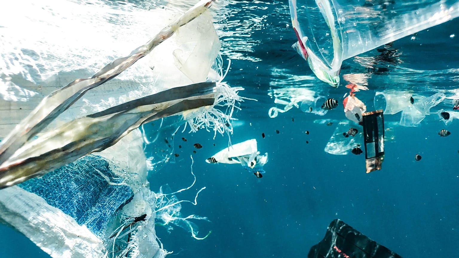 In Indonesien belastet Plastikmüll die Küsten. Jungfische verheddern sich, Nahrung fehlt. Fischer schlagen Alarm.