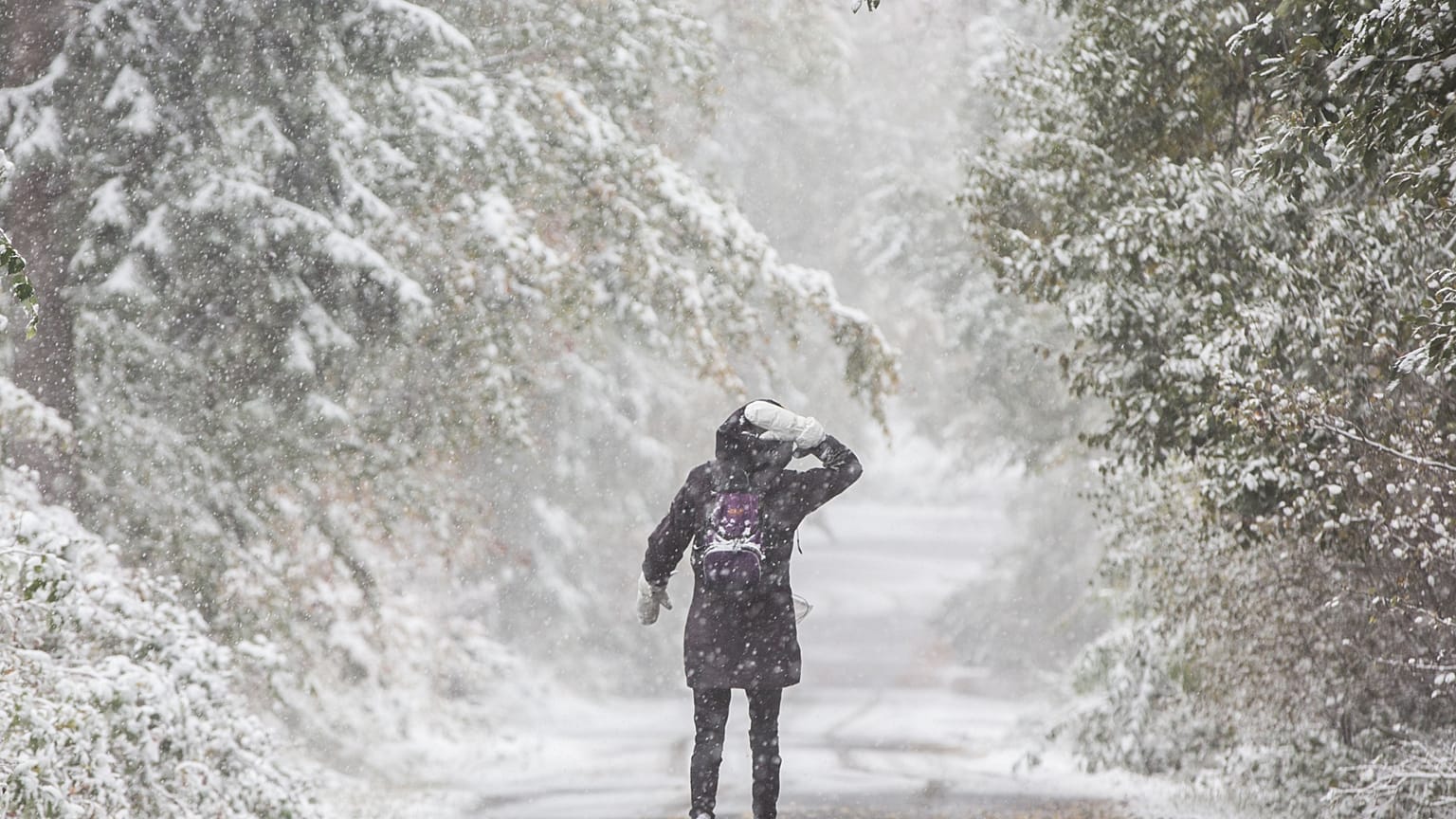 In welchen Regionen in Deutschland wird es auf den Straßen glatt? (Archivbild)