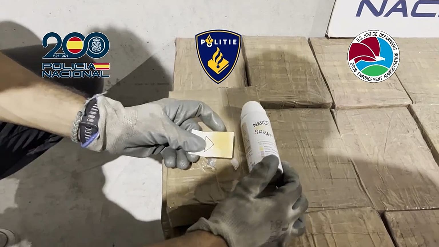 Imágenes de la operación Oyamel difundidas por el cuerpo policial