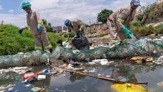 Afrique du Sud : des bénévoles "gardiens" de l'environnement 