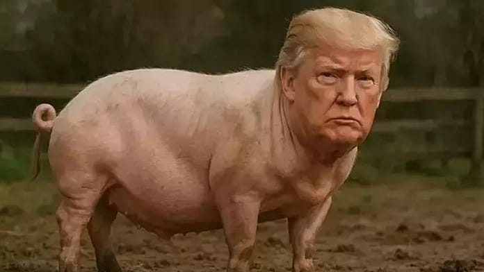 ‘Quiet, piggy’: Donald Trump's sexist outburst at female journalist goes viral