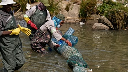 Pix of the Day: November 19, 2025