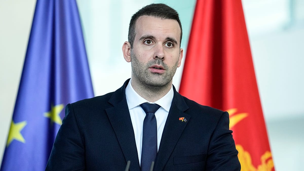'Nobody is even thinking of alternatives' to EU, says Montenegrin PM
