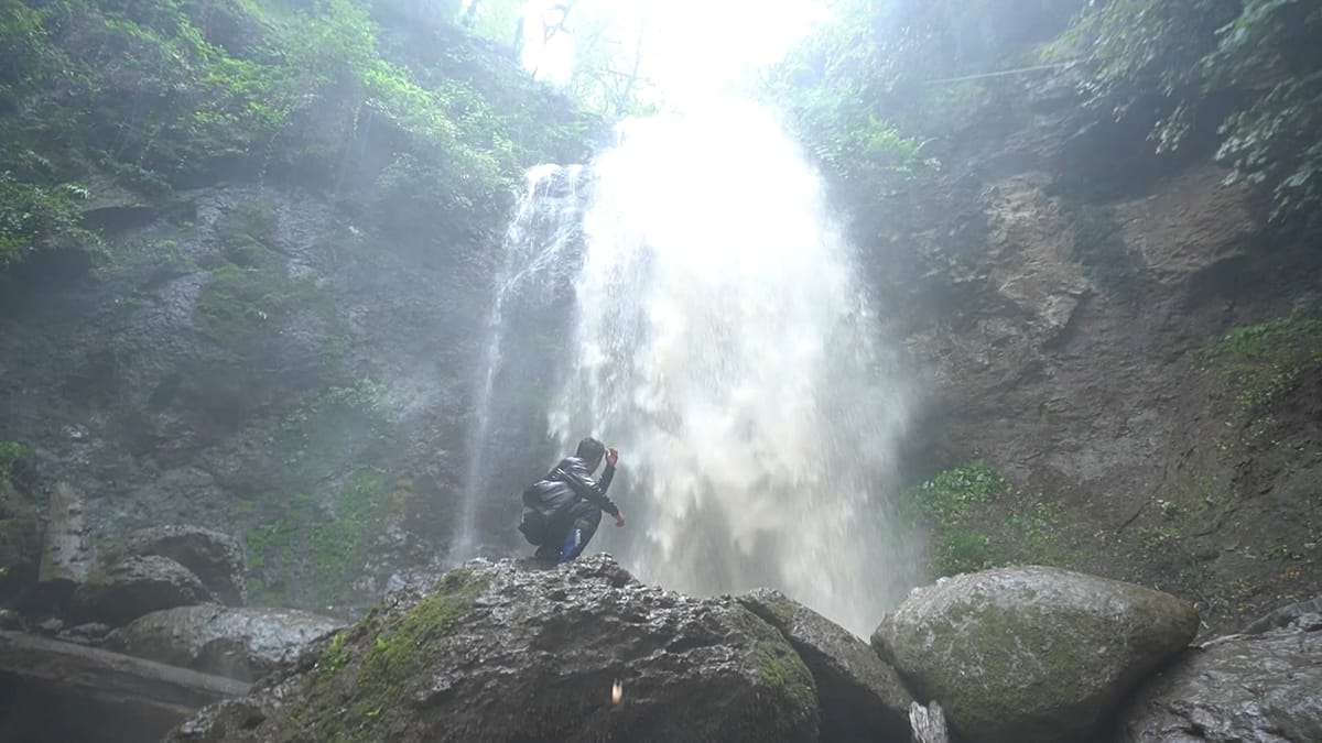 Why Lankaran is emerging as Azerbaijan’s richest region for fruit and wild forests