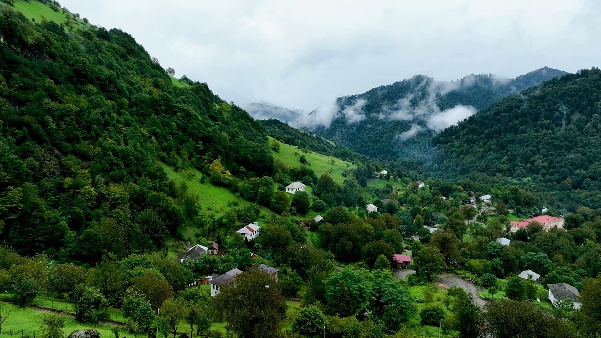 Die Südküste Aserbaidschans: Erkundung der Wälder und Obstplantagen von Lankaran