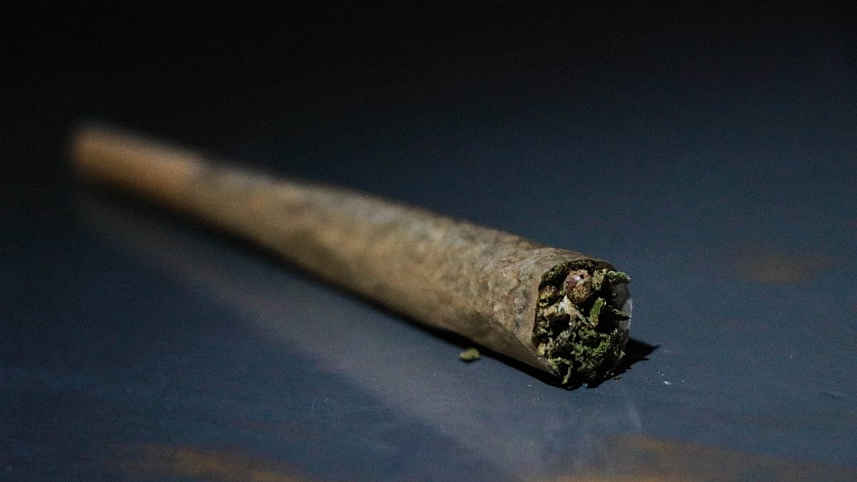 Keine-Lust-auf-Wehrdienst-Linken-Chef-Ein-Joint-hilft-gegen-Musterung