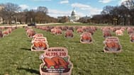 Carteles de Acción de Gracias en el National Mall con el texto «En Estados Unidos, 41.735.210 reciben ayuda alimentaria del programa SNAP», Washington DC, 17 nov. 2025