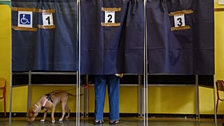 Un cane al guinzaglio aspetta mentre il suo padrone vota in un seggio elettorale a Milano, Italia, 8 giugno 2025