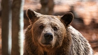 φωτό αρχείου