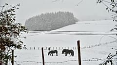 El frío y la nieve llegan a España (IMAGEN DE ARCHIVO)