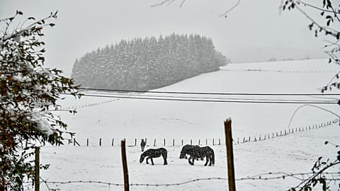 El frío y la nieve llegan a España (IMAGEN DE ARCHIVO)