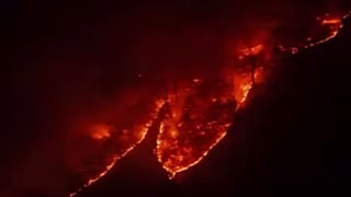 آتش‌سوزی در جنگل‌های هیرکانی ایران