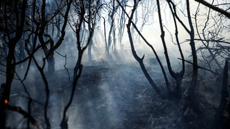 آتش‌سوزی در جنگل‌های هیرکانی