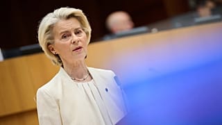 Ursula von der Leyen has pitched a reparations loan to Ukraine.