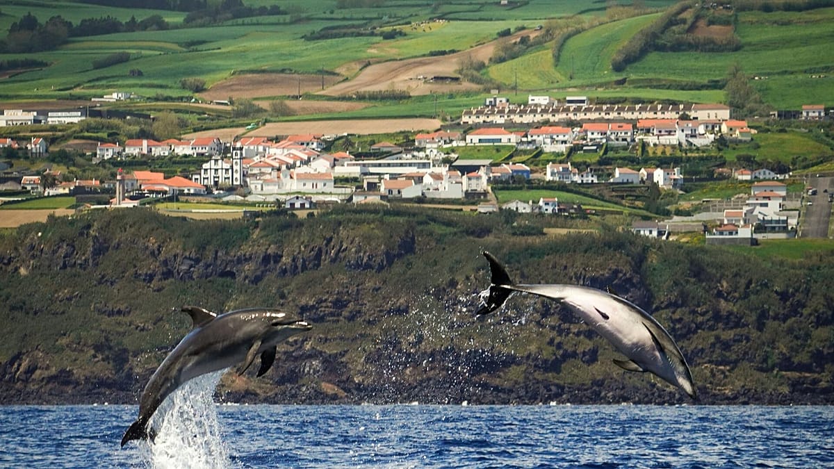 Ryanair threatens to cut all Azores flights from 2026. Here’s how it could affect your holiday