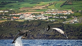 Ryanair has slashed flights across Europe and soon may cut services to the Azores