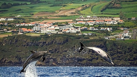 Ryanair has slashed flights across Europe and soon may cut services to the Azores