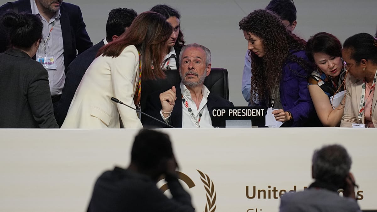 COP30: New climate deal reached in Brazil, but still no fossil fuel roadmap