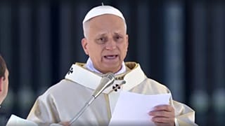 Pope Leo XIV calls for release of kidnapped students and priests 