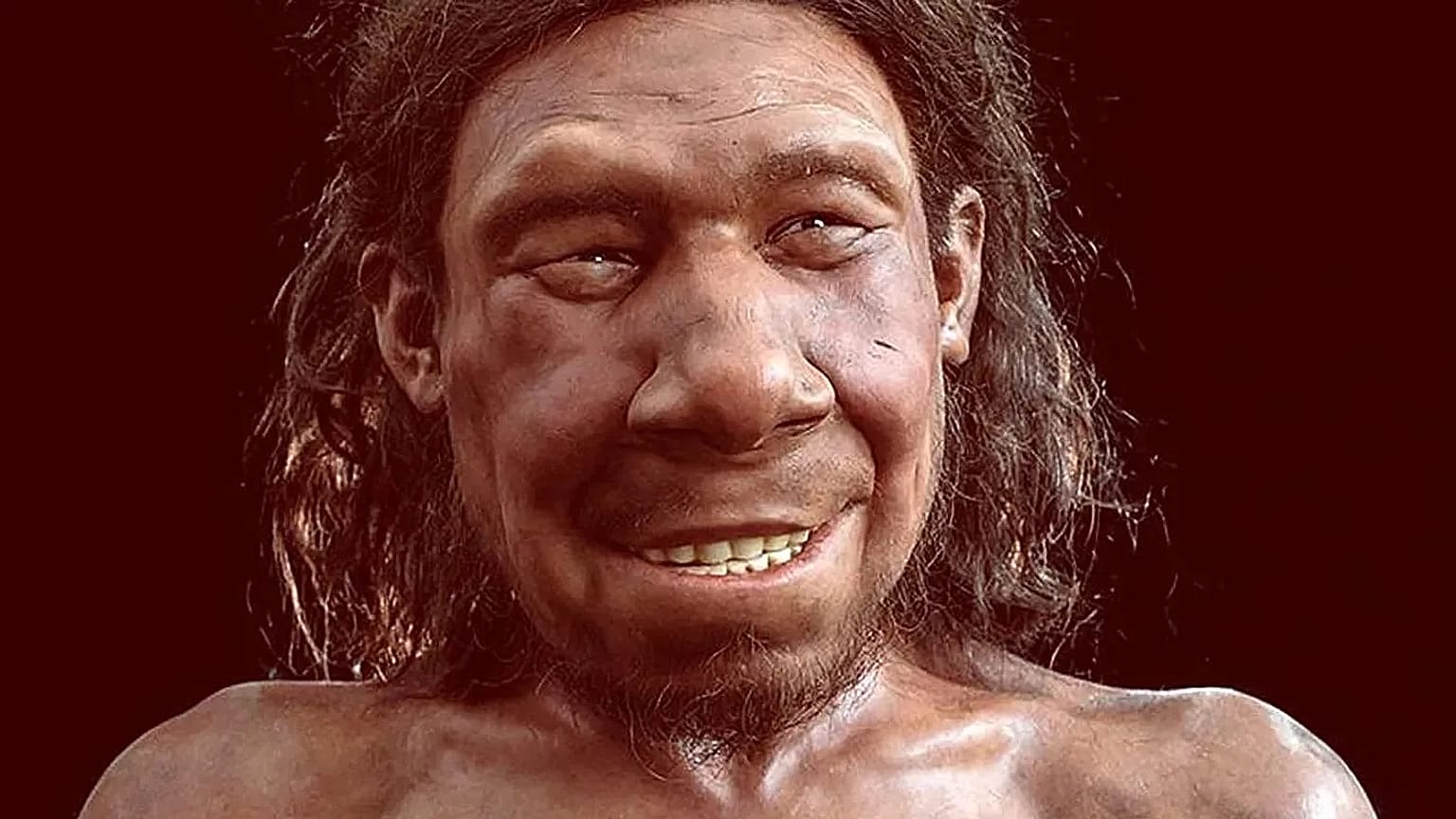 Afrika kökenli olmayan modern insan genomunda yaklaşık yüzde 2 oranında Neandertal DNA'sı mevcut 
