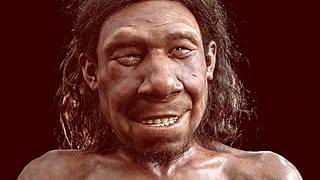 Afrika kökenli olmayan modern insan genomunda yaklaşık yüzde 2 oranında Neandertal DNA'sı mevcut 