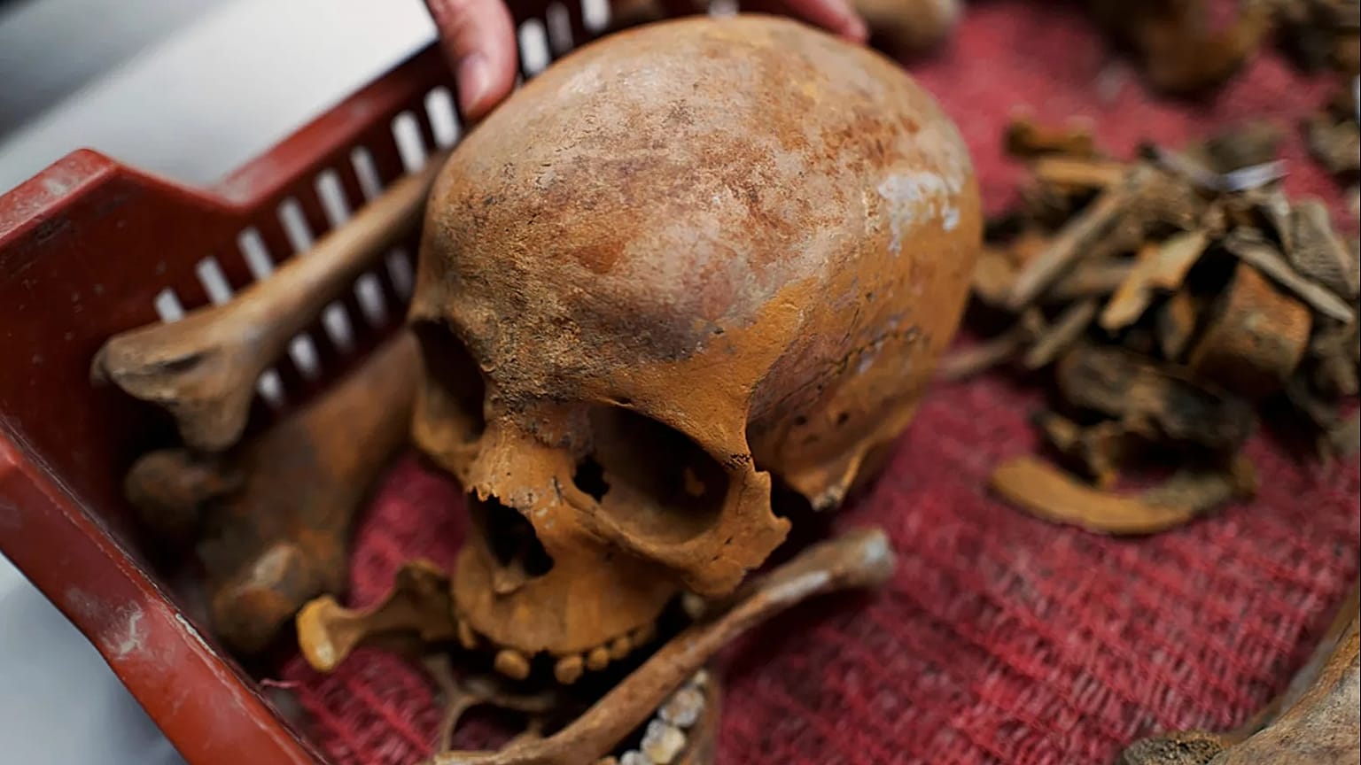 he skull of a Roman-era woman is seen in a box after archaeologists found the remains in an intact Roman sarcophagus, Wednesday, Nov. 19, 2025 in Budapest, Hungary