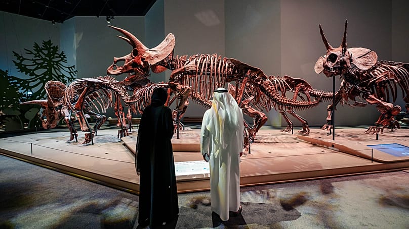 March of the Triceratops - A herd of five Triceratops considered the first Triceratops herd to ever be discovered in one nest