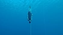 Ukrainian freediver Kateryna Sadurska breaks 86m no fins dive record in Dominica
