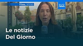 Le notizie del giorno | 24 novembre 2025 - Serale
