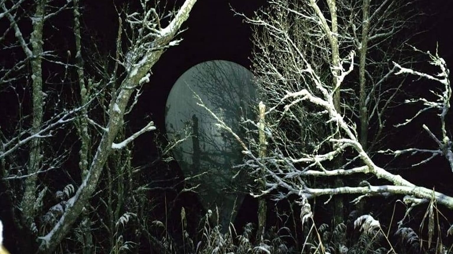 Один из шаров был перехвачен в лесу в Латвии