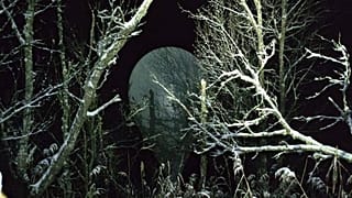 Один из шаров был перехвачен в лесу в Латвии