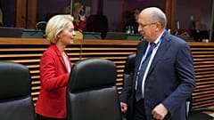 Ursula von der Leyen ve Andrius Kubilius