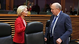Ursula von der Leyen ve Andrius Kubilius
