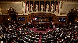 Le Sénat, le 23 janvier 2025
