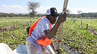 Kenya : le Lac Naivasha déborde et inonde les terres agricoles et les habitations