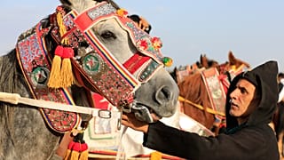 Le festival équestre de Zliten célèbre le patrimoine de la Libye