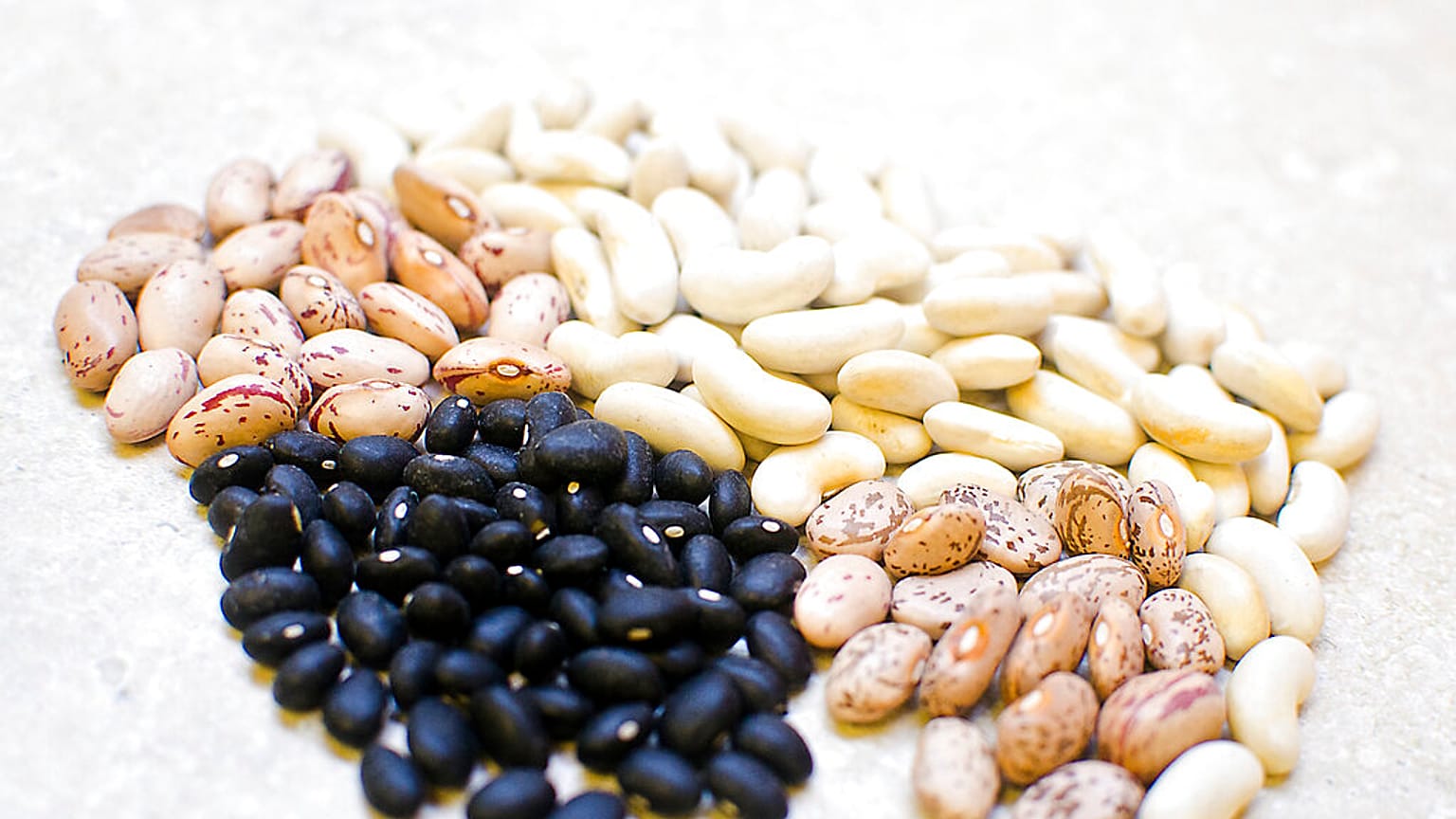 تُعالج شركة إيفربيست أورجانيكس، المملوكة لجيم وديان ساتلبيرج، أنواعًا مختلفة من الفاصوليا.