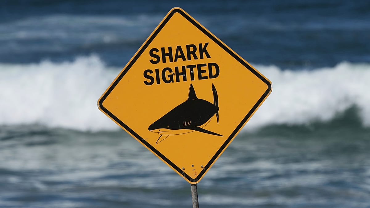 A shark kills a woman and seriously wounds another swimmer in Australia