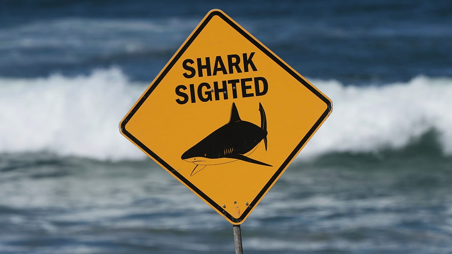 A sign is seen at the site of a fatal shark attack at Dee Why Beach, in Sydney, Australia, Sept. 6, 2025