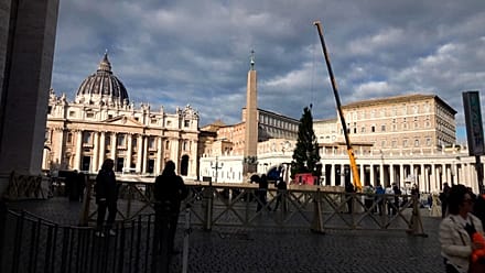 Le Vatican accueille un épicéa de 27 mètres sur la place Saint-Pierre